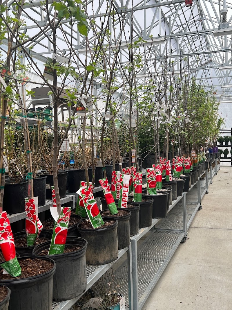 Garden Center at Tractor Supply photo 3