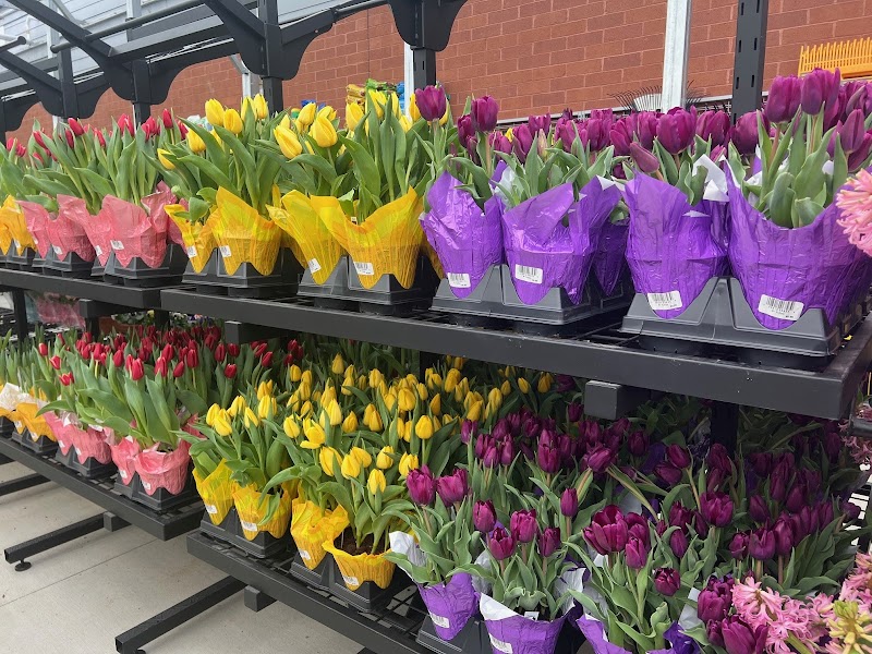Garden Center at Tractor Supply photo 5