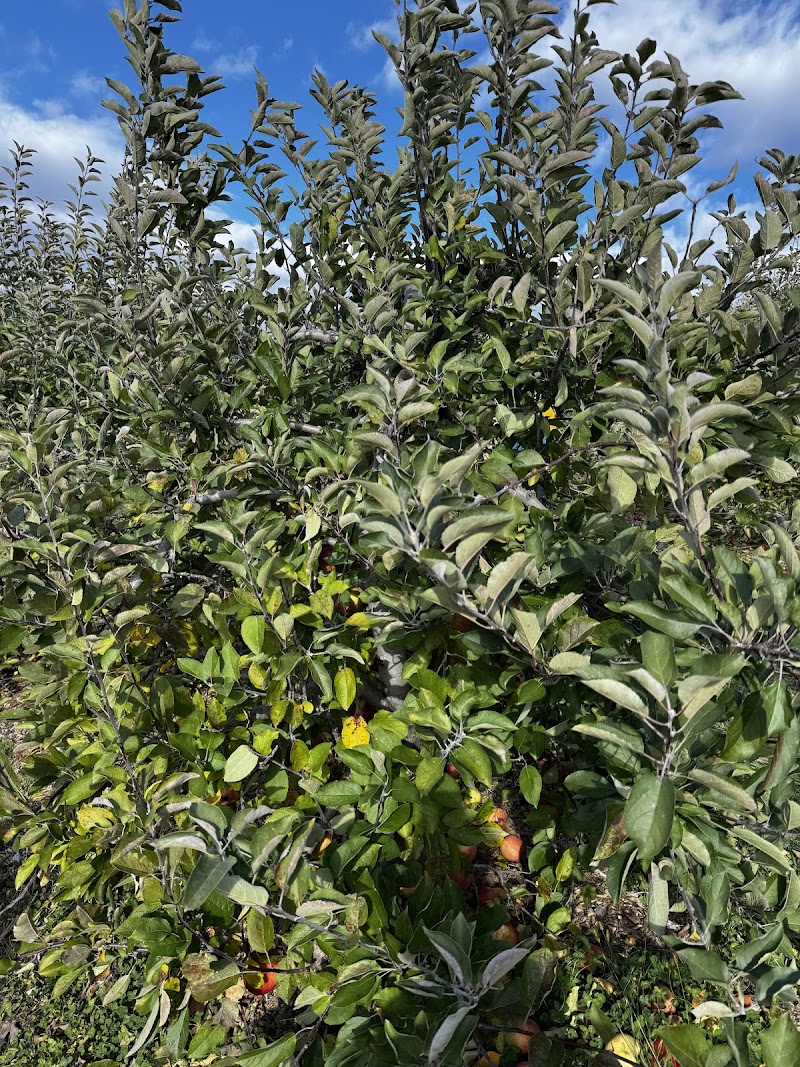 Hardscrabble Farms photo 4