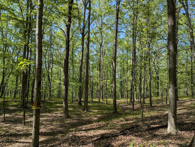 Marian Yarrow Preserve photo 2