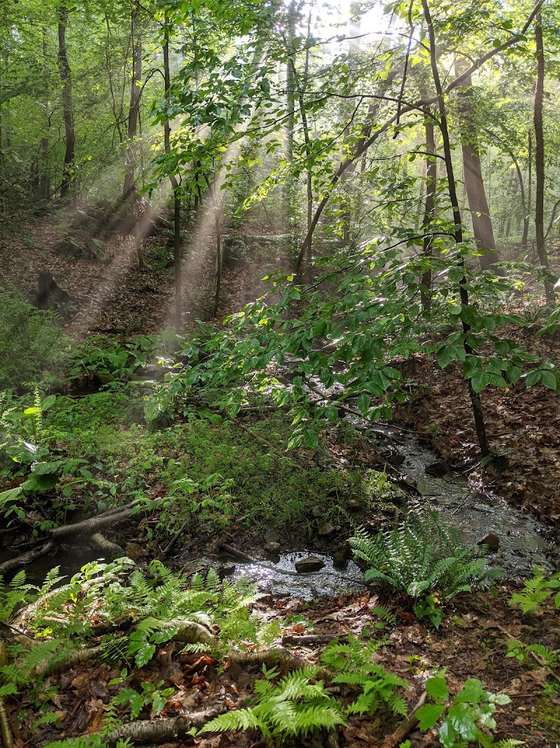 Marian Yarrow Preserve photo 3