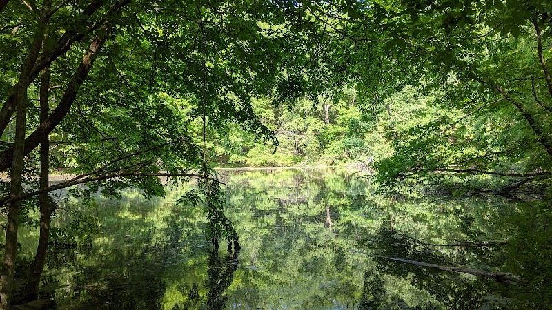 Marian Yarrow Preserve photo 4