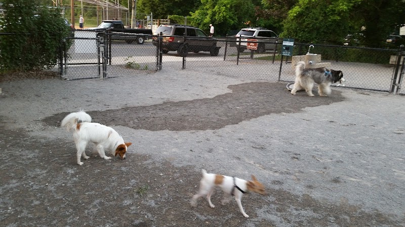 Bark Park - Off-Leash Dog Run for Members Only photo 2