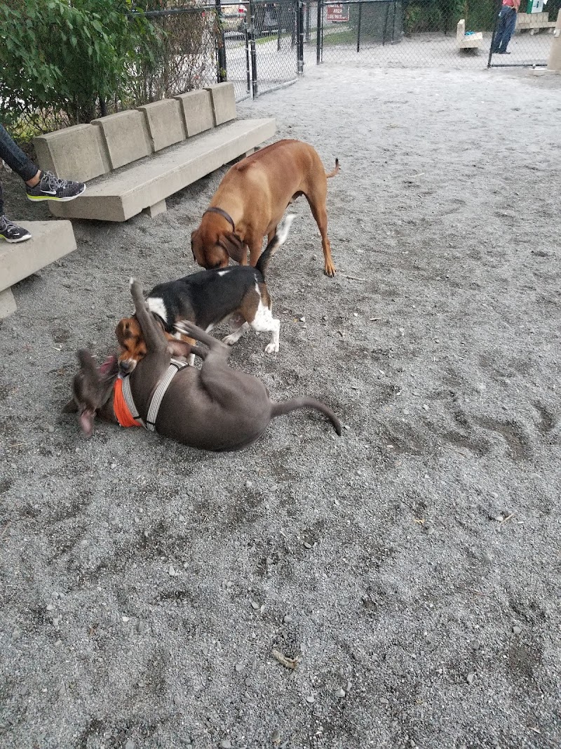 Bark Park - Off-Leash Dog Run for Members Only photo 3