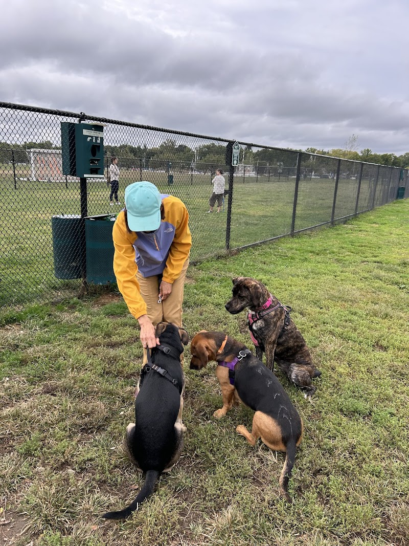 Bark Park - off leash dog park photo 2