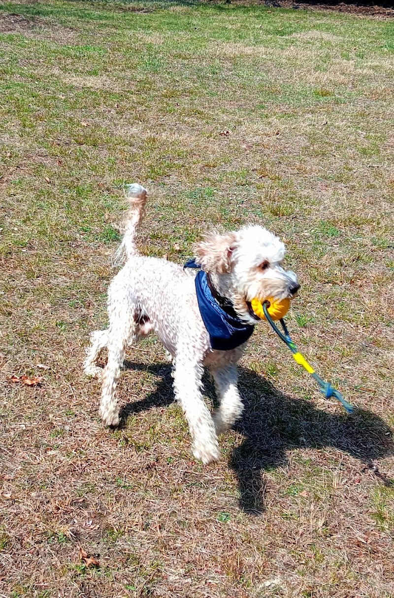 Bark Park - off leash dog park photo 3