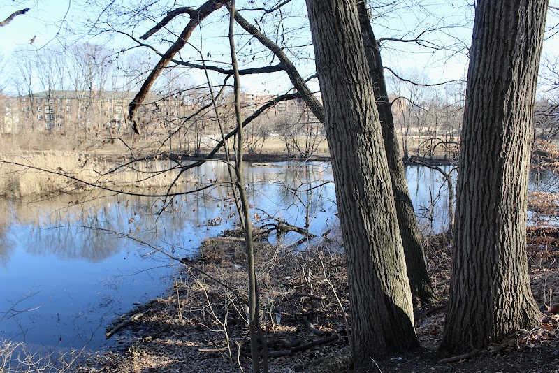 Park photo 2