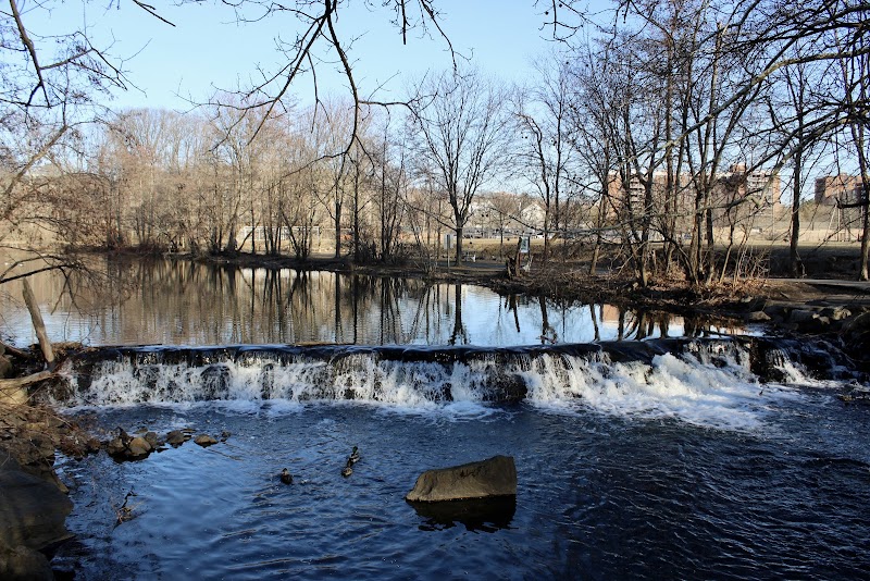 Park photo 3