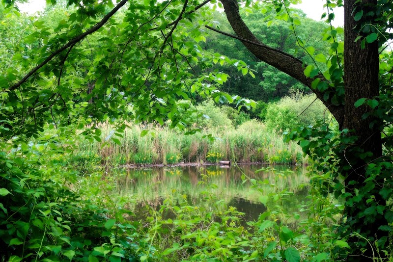 Park photo 4