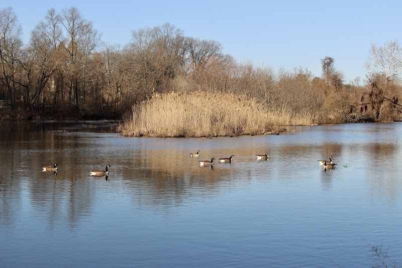 Park photo 5