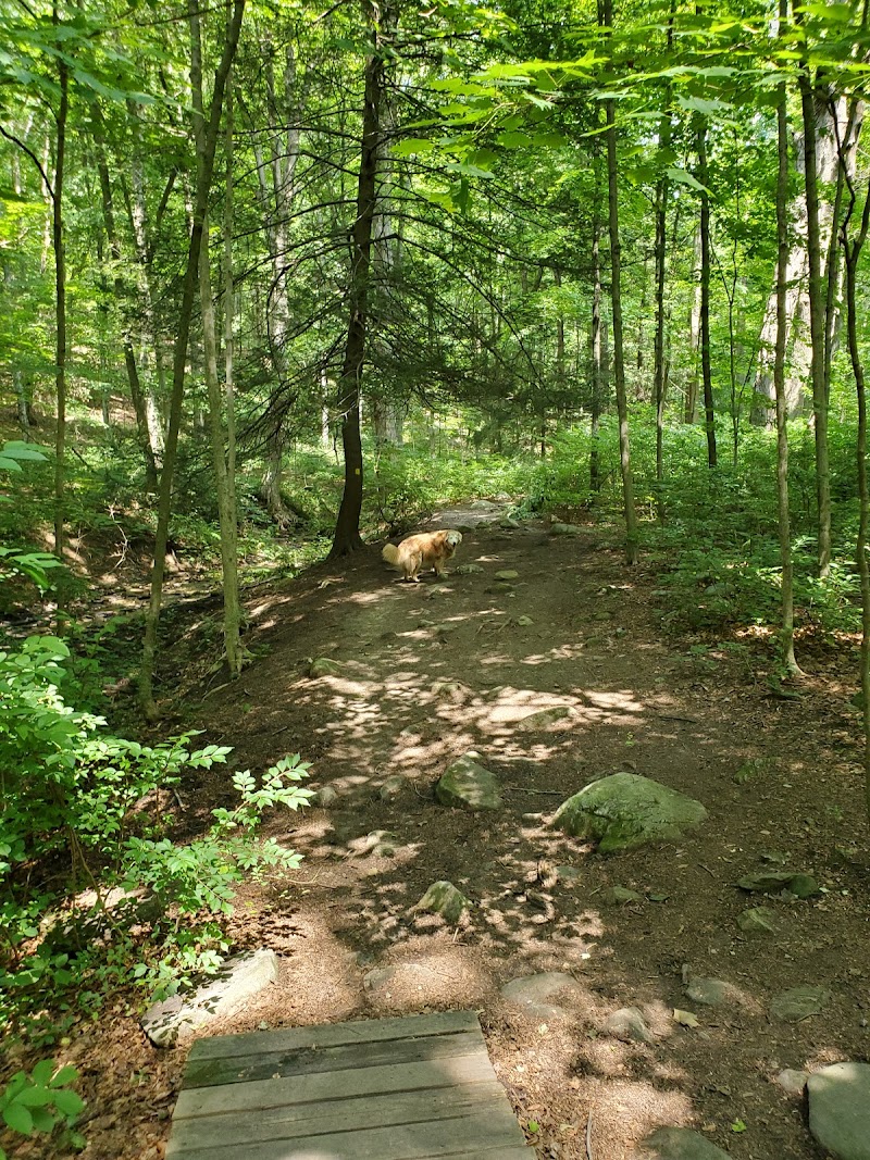 Parking for Kitchawan Preserve photo 2