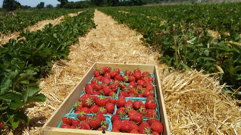 JD Farms photo 4