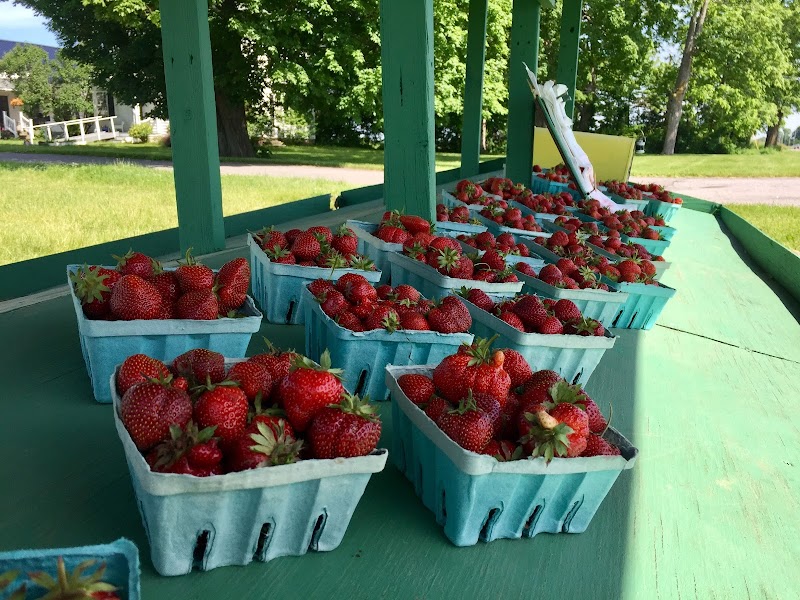 JD Farms photo 5