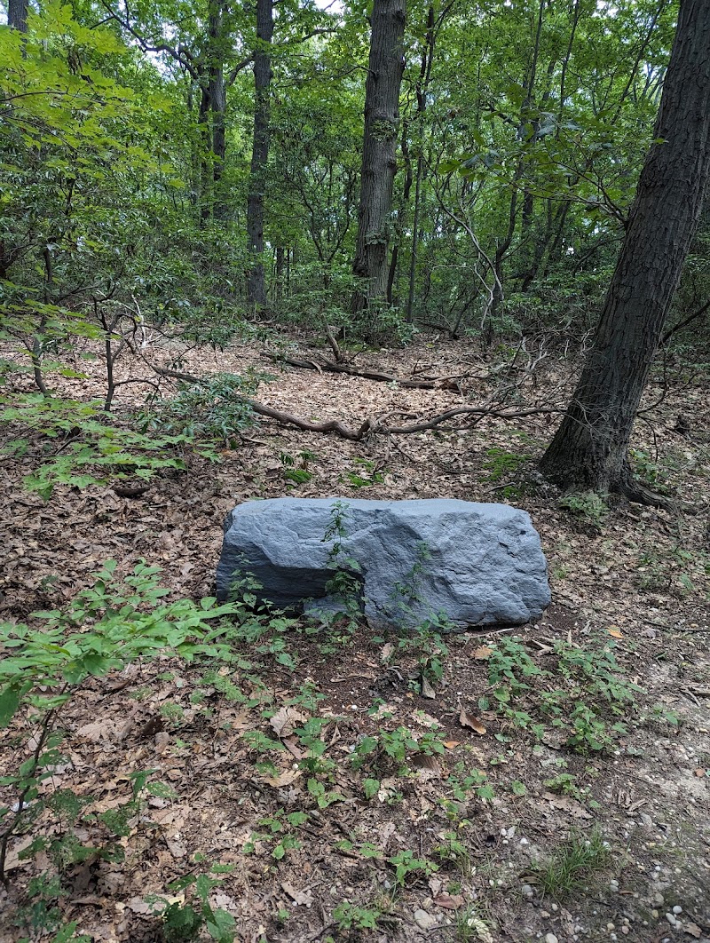 Harrison Williams Woods photo 2