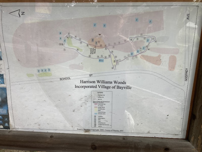 Harrison Williams Woods photo 3