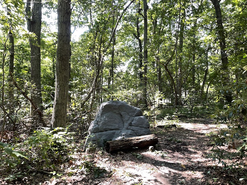 Harrison Williams Woods photo 5