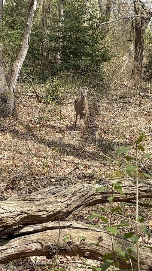 Harry Day Preserve photo 4