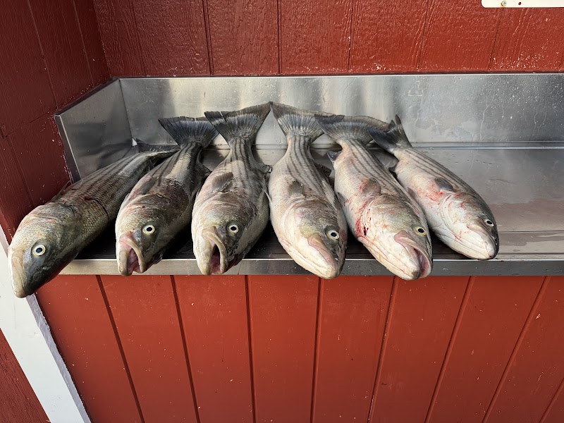 Larry’s Fishing Charters photo 5