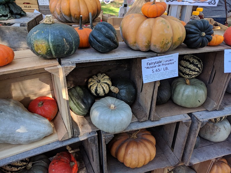 Tarrytown & Sleepy Hollow Farmers Market - The TaSH photo 4