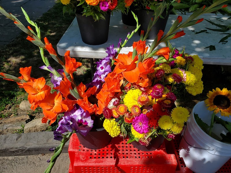 Tarrytown & Sleepy Hollow Farmers Market - The TaSH photo 5