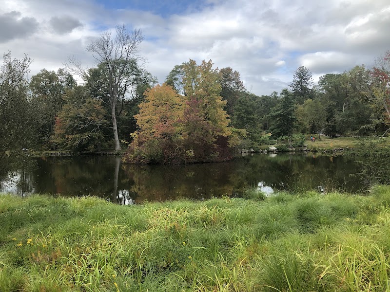 Marsh Sanctuary photo 3