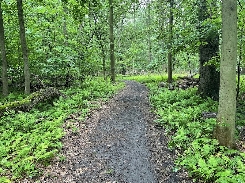 Hart’s Brook Park and Preserve photo 2