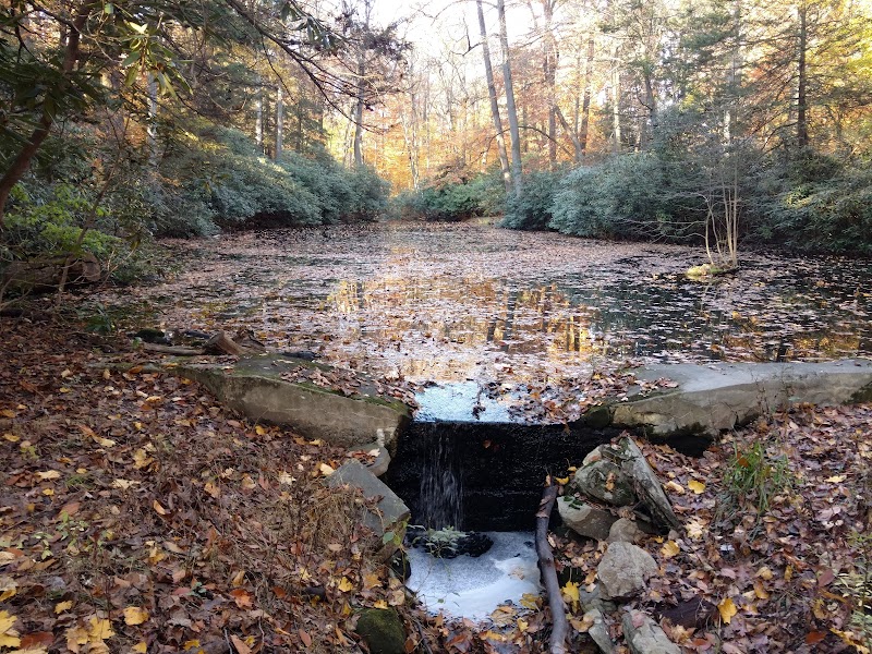 Hart’s Brook Park and Preserve photo 3