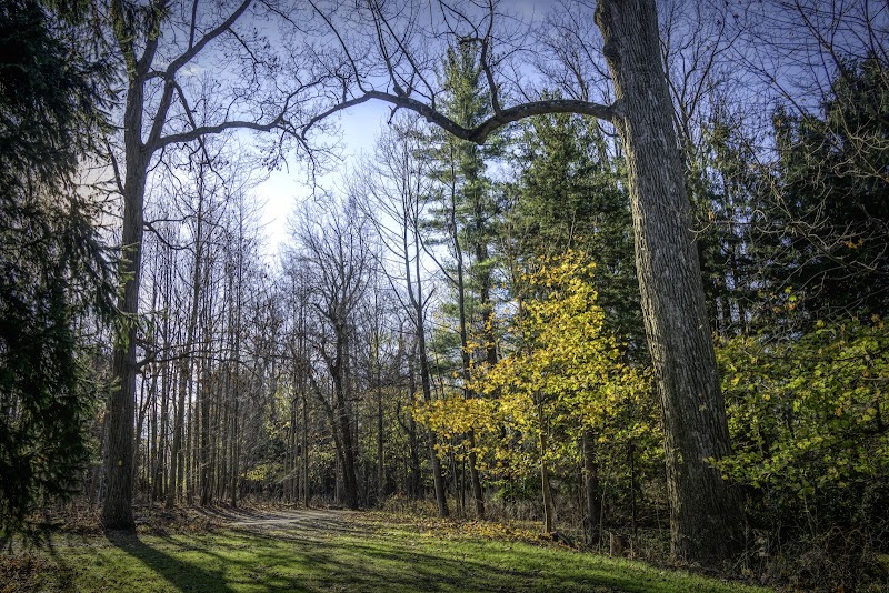 Hart’s Brook Park and Preserve photo 5