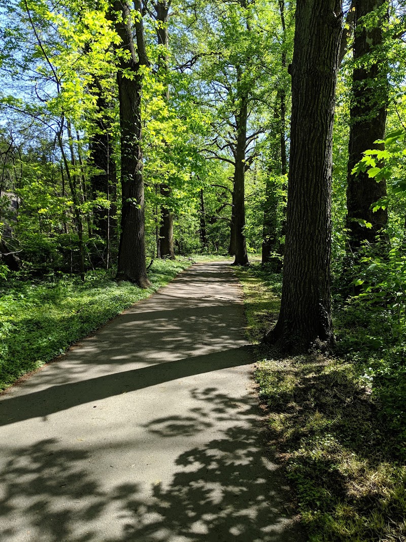 Garth Road Park photo 4