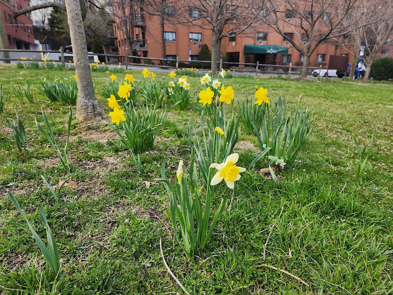 J Harvey Turnure Memorial Park photo 3