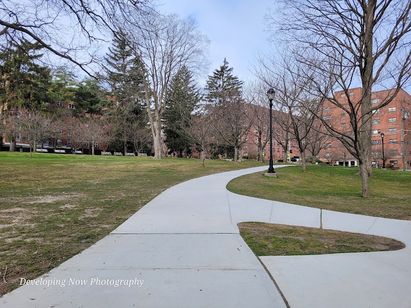 J Harvey Turnure Memorial Park photo 5