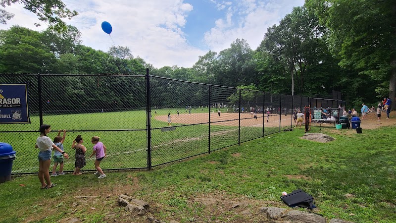 Rasor Field, Katonah photo 3