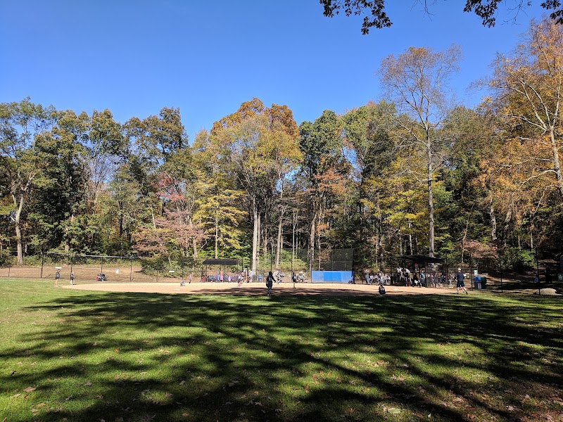 Rasor Field, Katonah photo 5