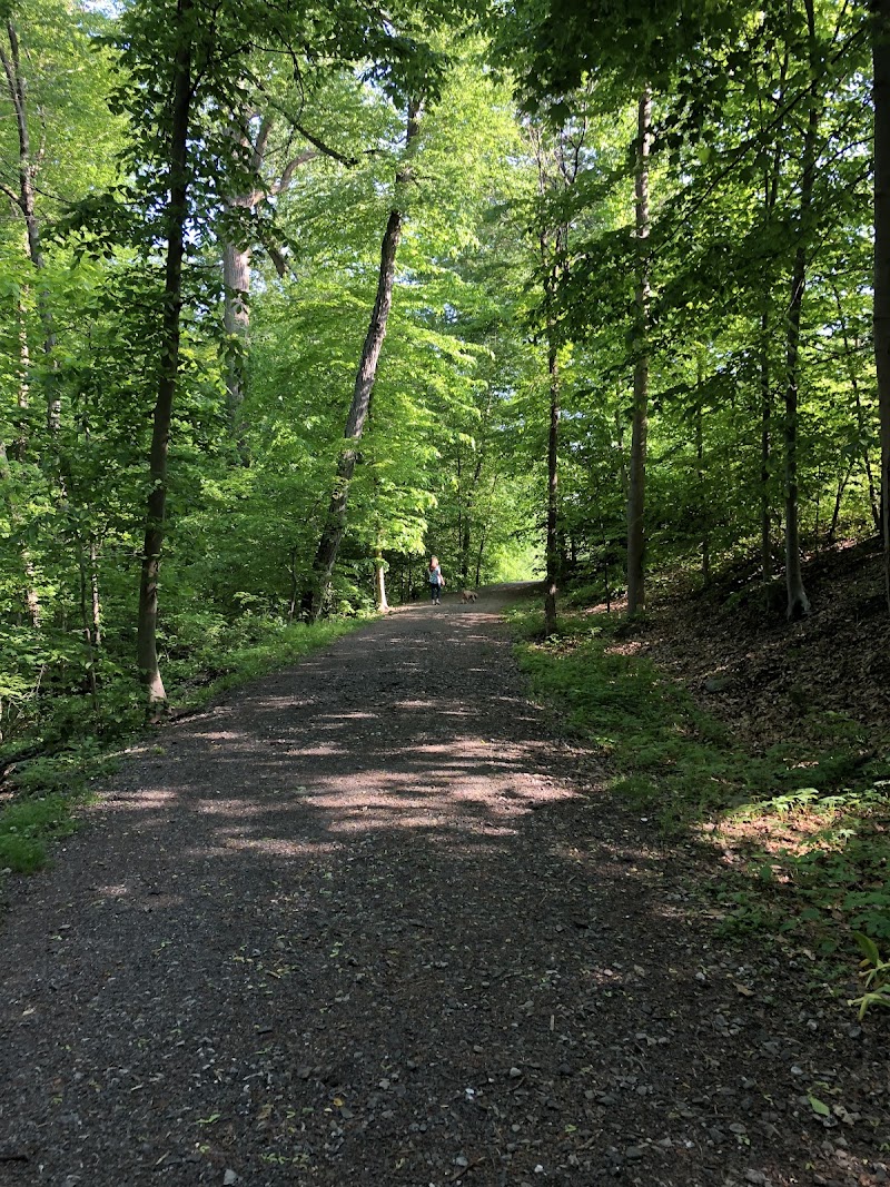 East Rumbrook Park photo 5