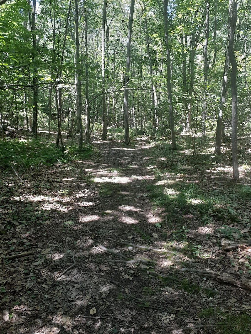 Eastwoods Preserve photo 2