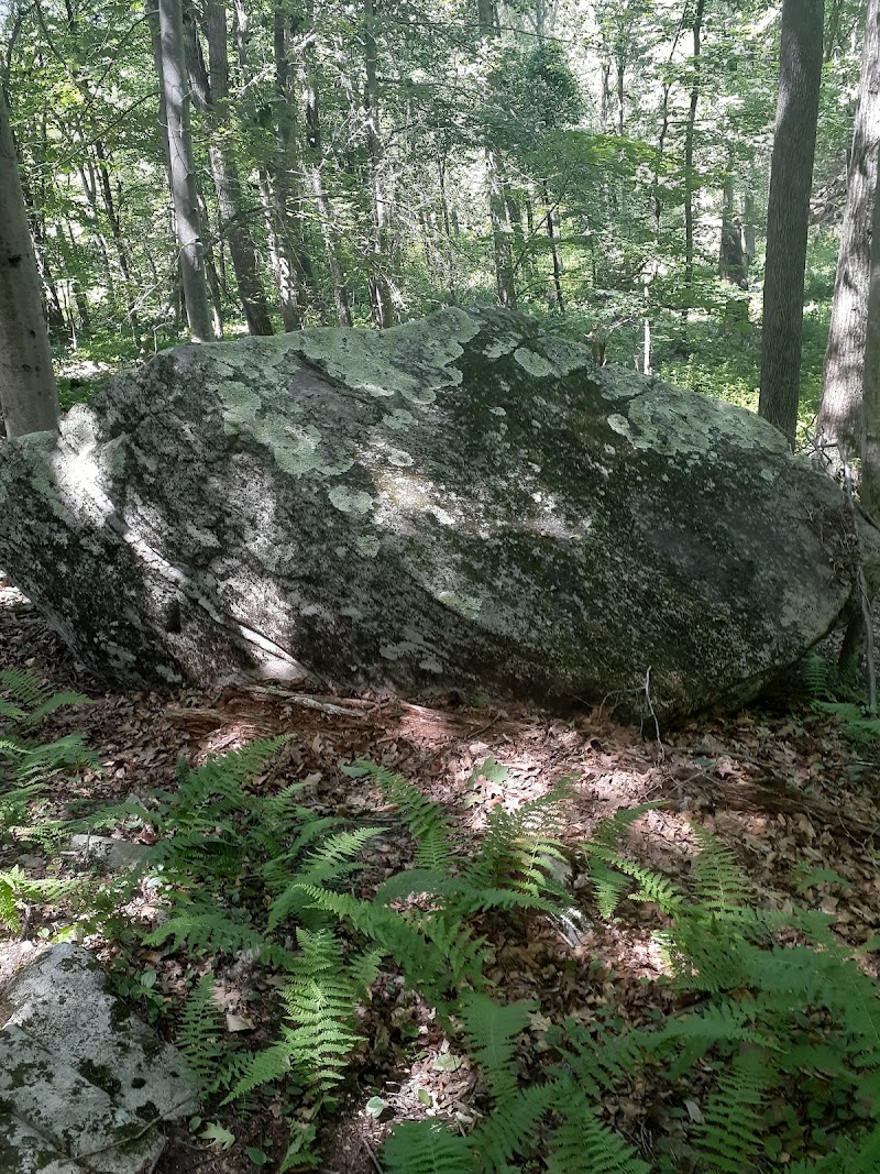 Eastwoods Preserve photo 3