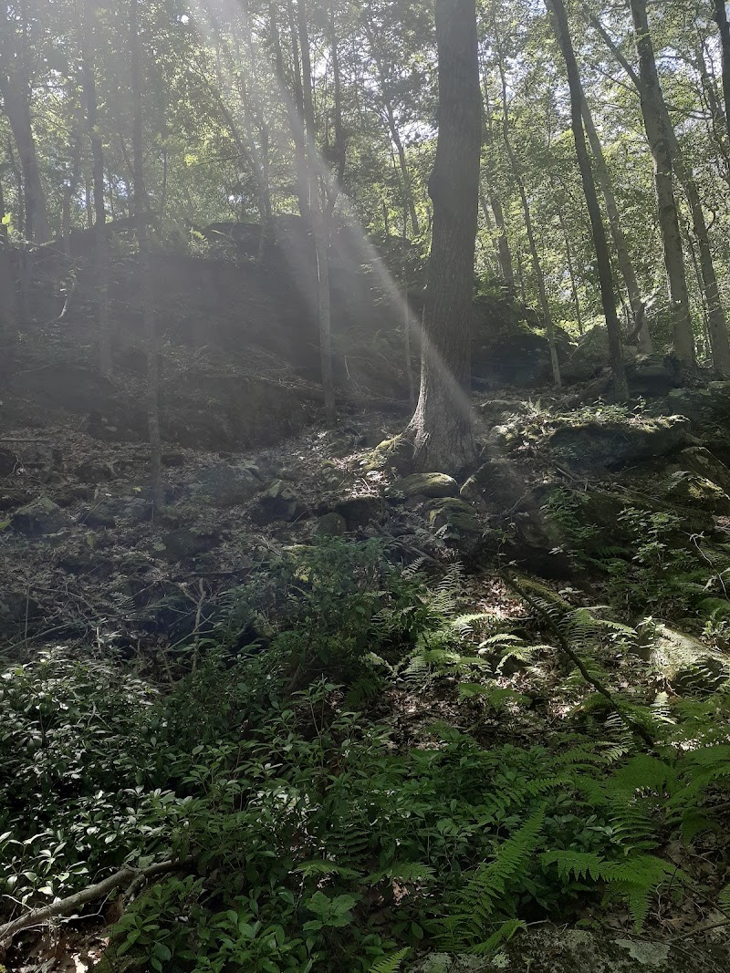 Eastwoods Preserve photo 4
