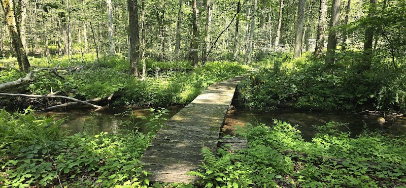 National Audubon Society photo 3
