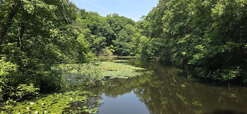 National Audubon Society photo 4