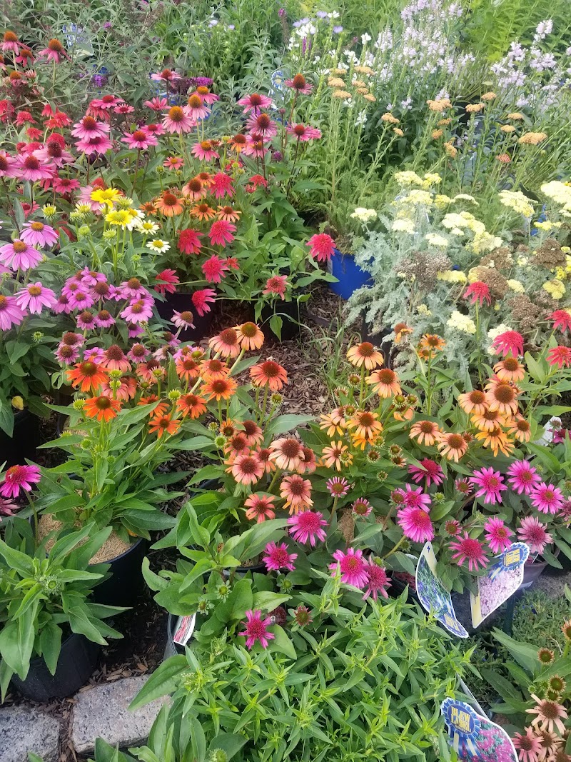 Katonah Nursery Inc photo 3