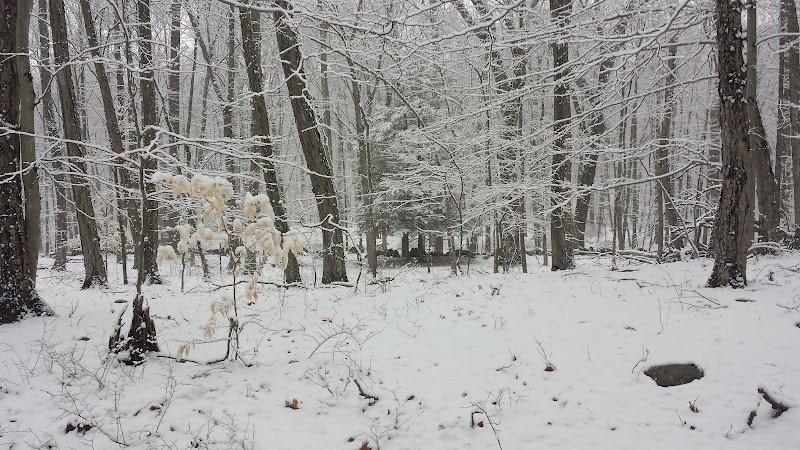 Watson Symington Woodlands (NCLT) photo 2