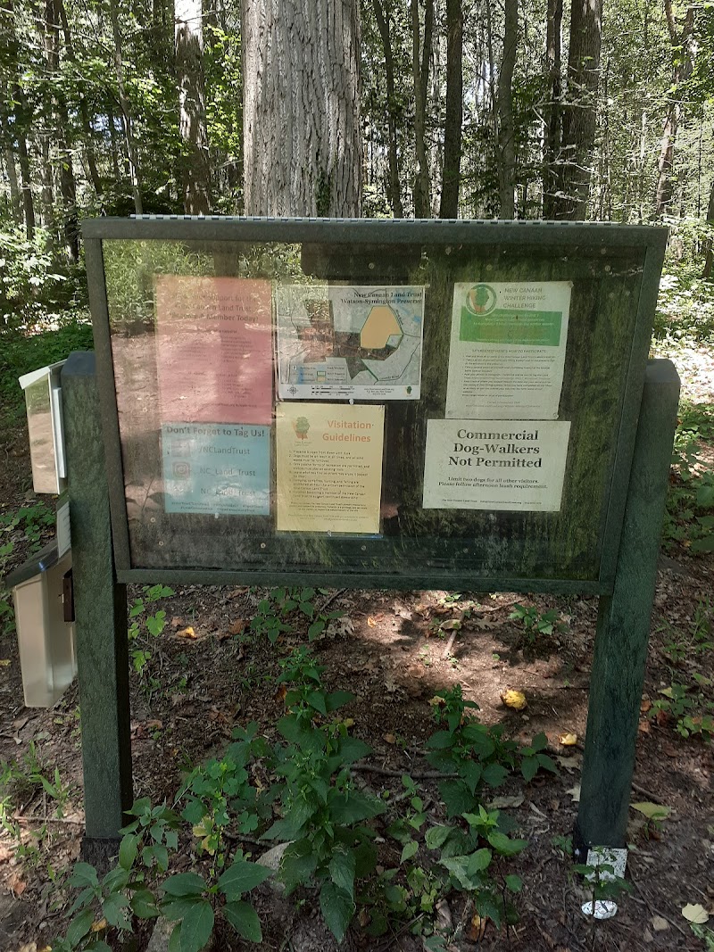 Watson Symington Woodlands (NCLT) photo 3