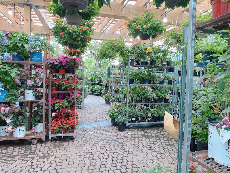 Nature’s Cradle Nursery & Landscape Design photo 3