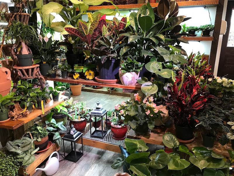 Nature’s Cradle Nursery & Landscape Design photo 4