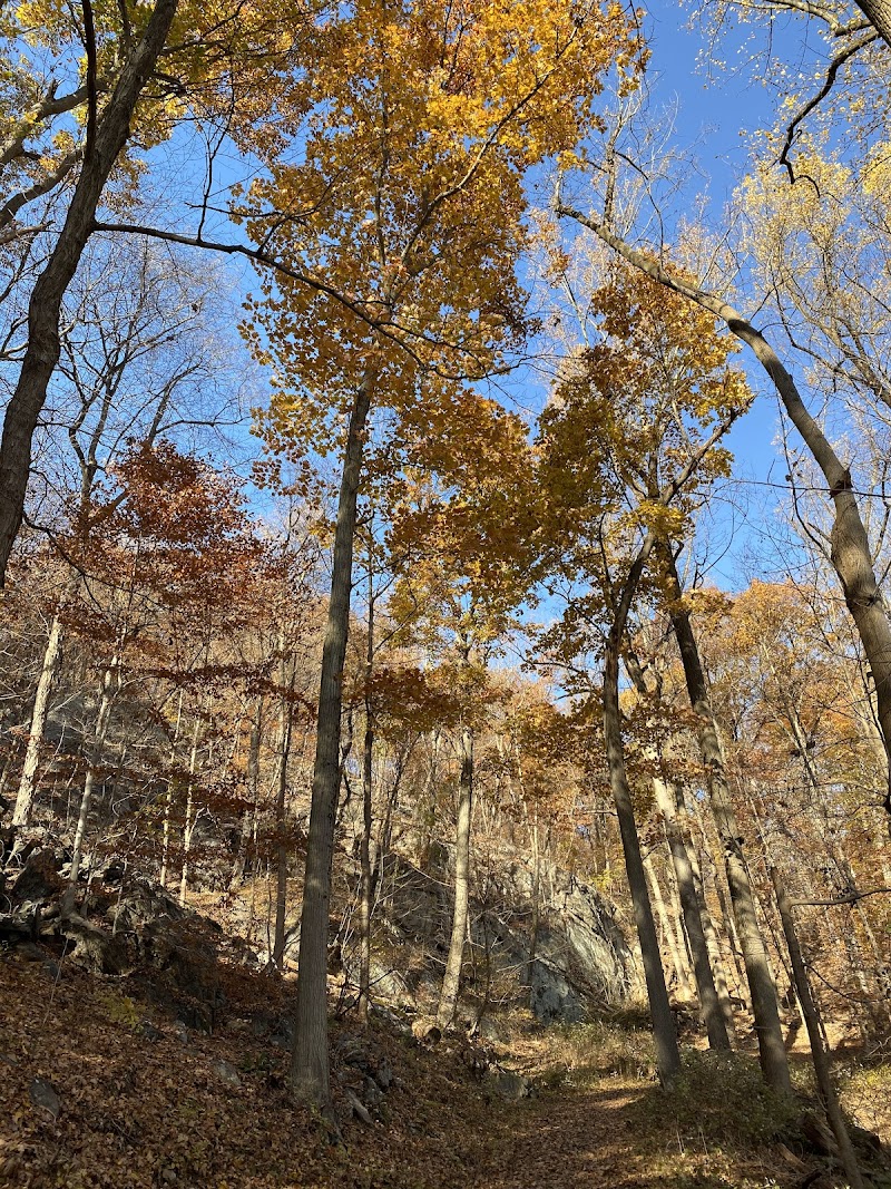 Raven's Rock photo 3