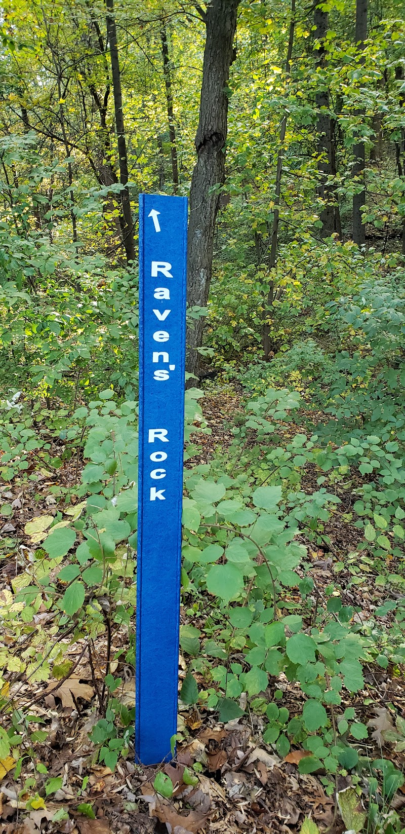Raven's Rock photo 5
