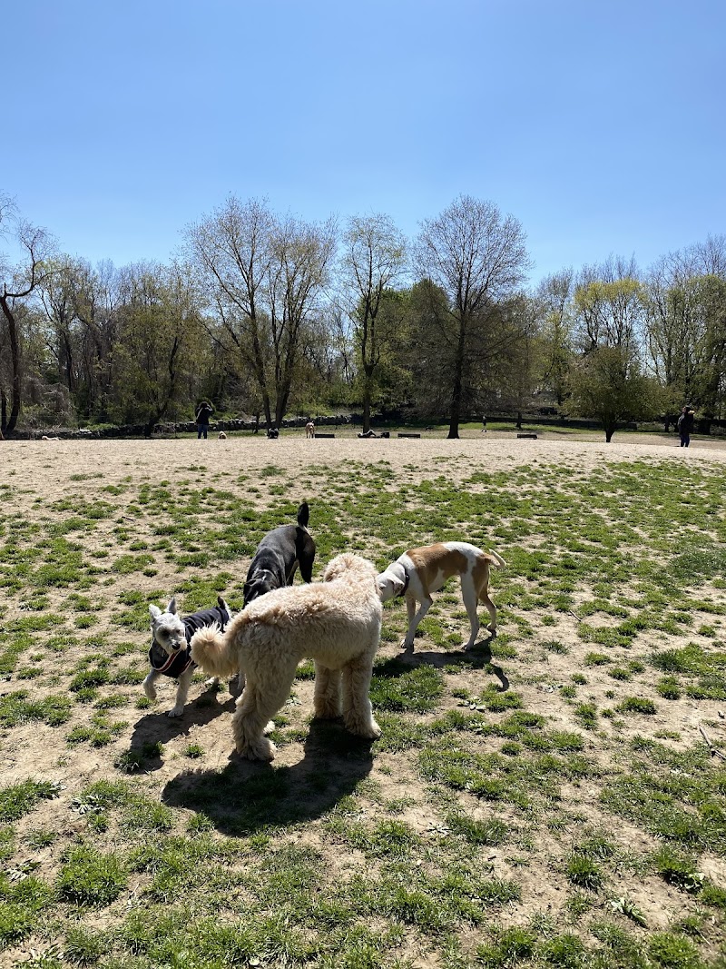 Paws Place Dog Park photo 3
