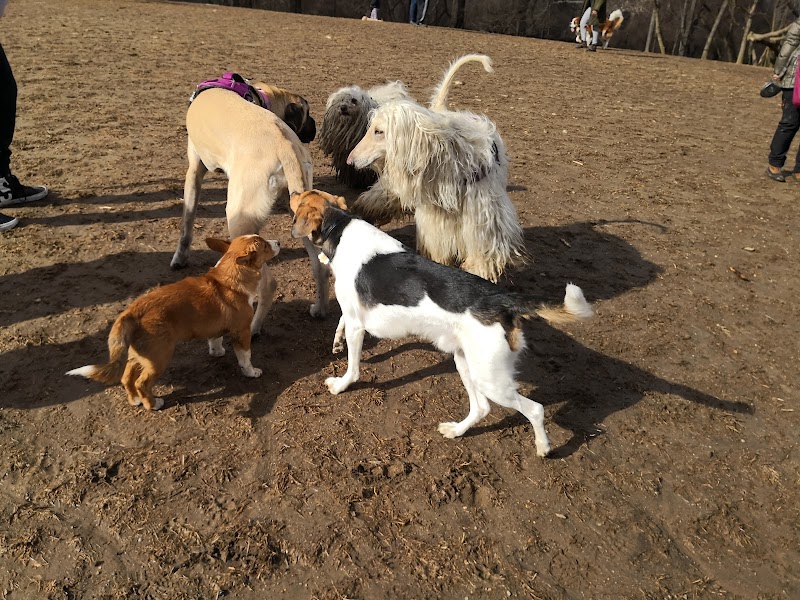 Paws Place Dog Park photo 5