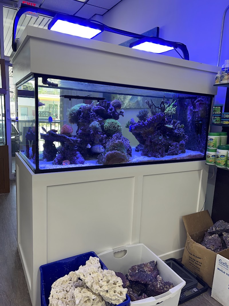 Jawz Aquarium photo 3