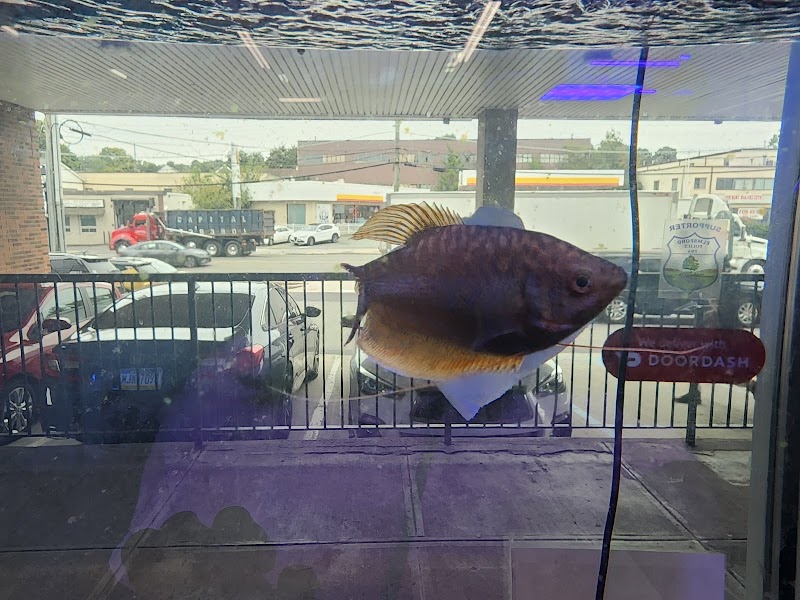 Jawz Aquarium photo 4